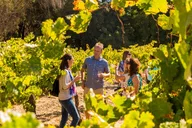 San Francisco Wine Country Tour thumbnail 2
