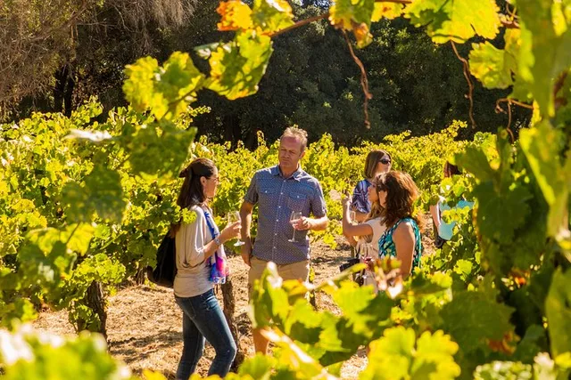 San Francisco Wine Country Tour - Image 2