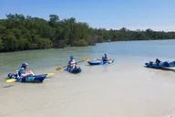 Bonita Springs Kayak Tour on Big Hickory Pass 2.5 hr thumbnail 4