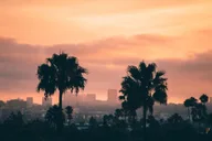Los Angeles Private Airport Transfer from LAX thumbnail 5
