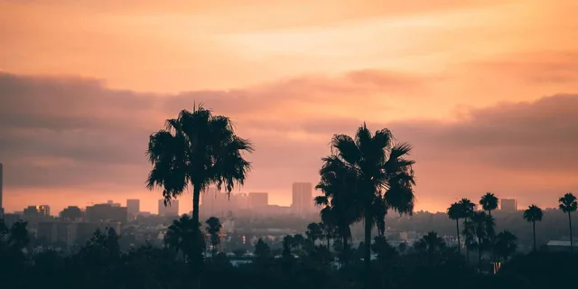 Los Angeles Private Airport Transfer from LAX - Image 5