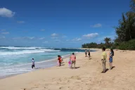 Oahu Private Island Tour: Waikiki, North Shore, Dole Plantation thumbnail 5
