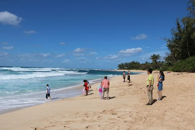Oahu Private Island Tour: Waikiki, North Shore, Dole Plantation - Image 5