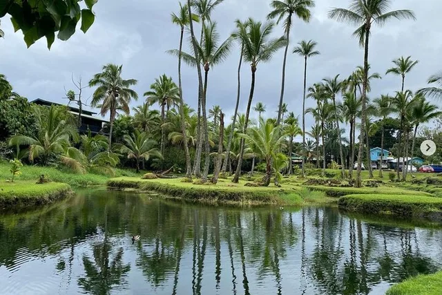 Hilo Bay Kayak Adventure - Image 4