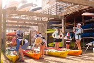 Charleston Kayak Tour with Dolphins in Shem Creek thumbnail 6