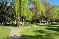 San Francisco Wine Tour in Napa and Sonoma 6 hr thumbnail 6