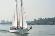 New York Hudson River Fall Foliage Sailing Trip thumbnail 1