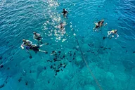 Waikiki Turtle Canyon Snorkel Boat Tour thumbnail 4