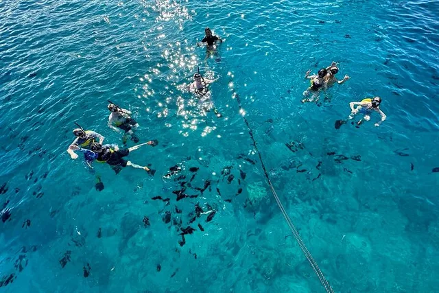 Waikiki Turtle Canyon Snorkel Boat Tour - Image 4