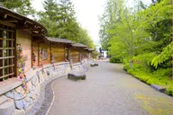 Bainbridge Island Discovery and Wine Tour thumbnail 6