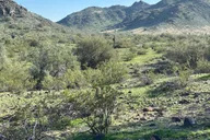 Phoenix Mountain Bike Adventure in Sonoran Desert thumbnail 2