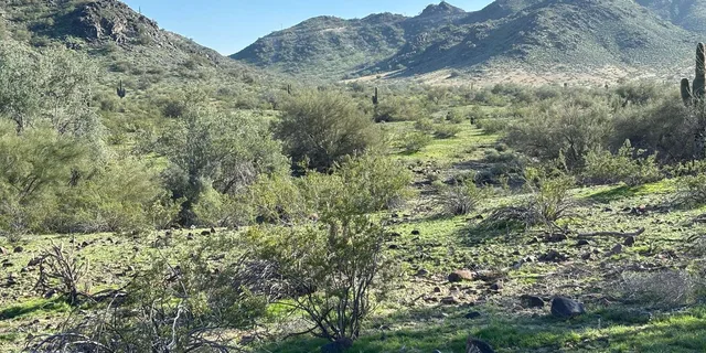 Phoenix Mountain Bike Adventure in Sonoran Desert - Image 2