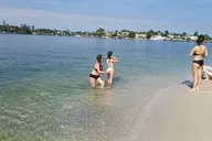 Miami Snorkeling Tour for Beginners 2 hr thumbnail 6