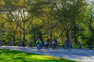 New York Walking Tour and Central Park Cycle