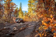 East Zion Jeep Tour Brushy Cove 90 min thumbnail 5