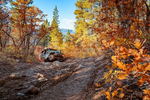 East Zion Jeep Tour Brushy Cove 90 min - Image 5
