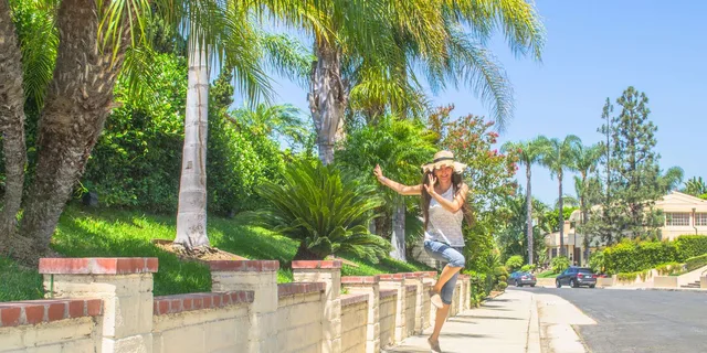 Los Angeles Private Driving Tour - Image 2