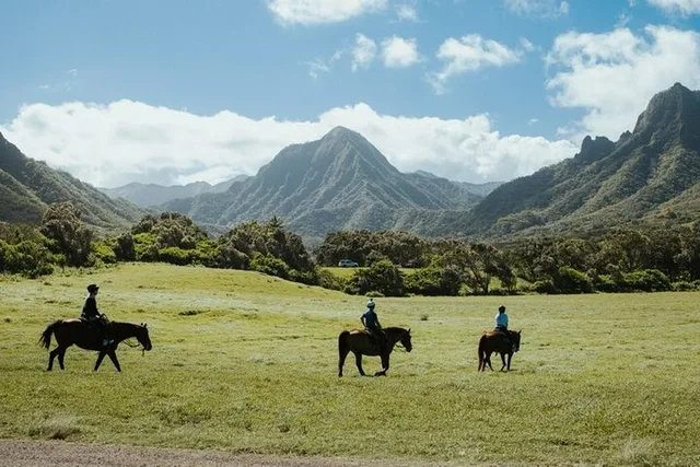Kaneohe Horseback Riding Tour - Image 2