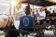 Charleston Horse-Drawn Carriage Tour thumbnail 4