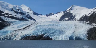 Anchorage Portage Glacier Cruise and Wildlife Explorer