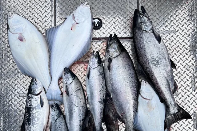 Ketchikan Salmon and Halibut Fishing Adventure - Image 5