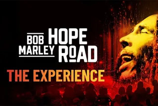 Kingston Bob Marley Experience