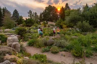 Denver Botanic Gardens Admission Ticket thumbnail 4