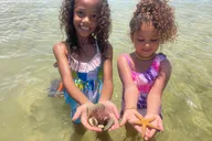 Marco Island Wildlife Sightseeing and Shelling Tour 2 hr thumbnail 4