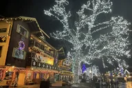 Seattle Leavenworth Christmas Lights Tour thumbnail 1