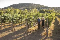 Sedona Wine Tour with Lunch thumbnail 1