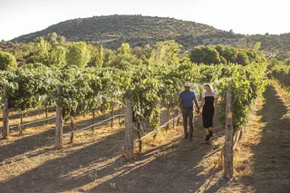 Sedona Wine Tour with Lunch