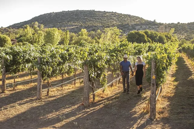 Sedona Wine Tour with Lunch - Image 1