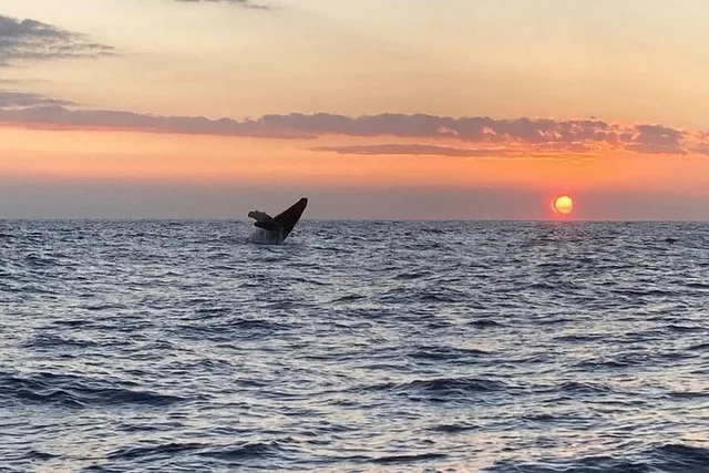 Kona Private Sunset Fishing Charter 4 hr - Image 6