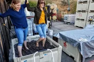 Portland Waterfalls and Wine Tour thumbnail 5