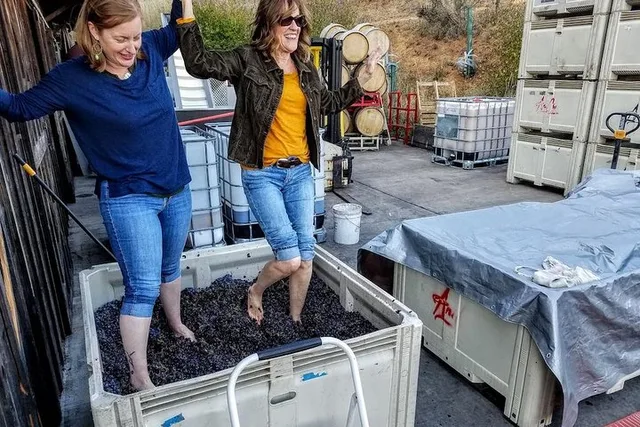 Portland Waterfalls and Wine Tour - Image 5