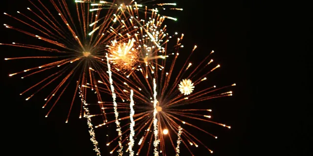 NYC Fireworks Dinner Cruise with Open Bar 4 hr - Image 5