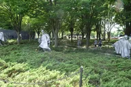 Washington DC Monuments Self-Guided Walking Tour thumbnail 6