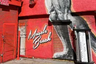Venice Beach and Santa Monica Bike Tour in French 3.5 hr thumbnail 5