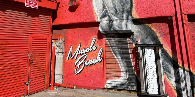 Venice Beach and Santa Monica Bike Tour in French 3.5 hr - Image 5