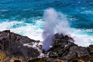 Oahu Pearl Harbor and Scenic Tour thumbnail 4