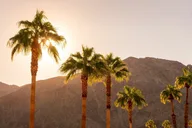Palm Springs and Joshua Tree Self-Guided Audio Tour thumbnail 6