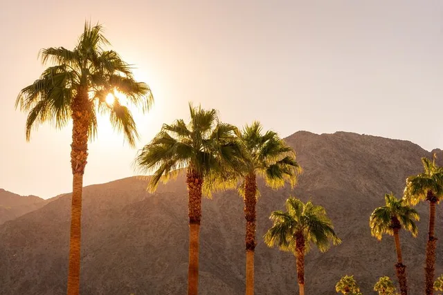 Palm Springs and Joshua Tree Self-Guided Audio Tour - Image 6