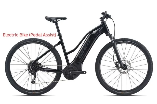 Los Angeles Bike Rental: Pedal or Electric Options - Image 4