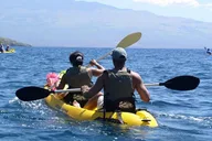 Maui Paddle, Snorkel, and Surf Adventure thumbnail 4