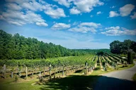 Asheville Private Wine Tour thumbnail 6