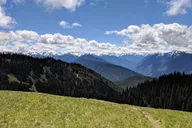 Olympic National Park Private Day Tour with Lunch thumbnail 1