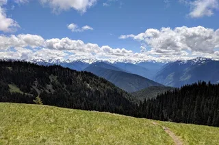 Olympic National Park Private Day Tour with Lunch