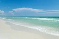 Destin Snorkeling and Dolphin Watching Experience thumbnail 6
