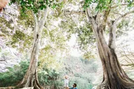Kauai Allerton Garden Guided Walking Tour 2.5 hr thumbnail 1
