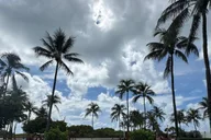 Miami Millionaire Cruise & Bus Tour thumbnail 3